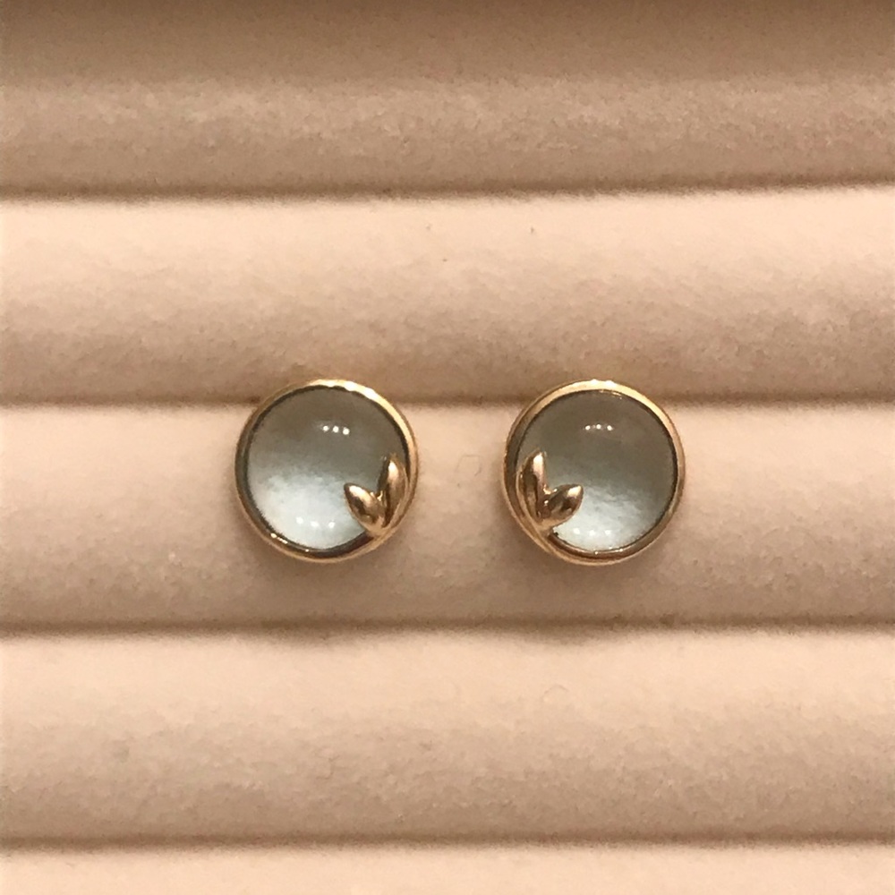 Tiffany & Co Earrings